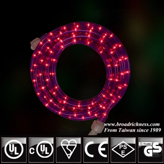 Enchanting Ambiance with Purple Incandescent Rope Lights Enchanting Ambiance with Purple Incandescent Rope Lights