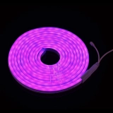 Wholesale 12V/24V RGB LED Neon Strip Light Kit - Customizable SMD5050/2835 for Dynamic Indoor/Outdoor Lighting Projects (2)