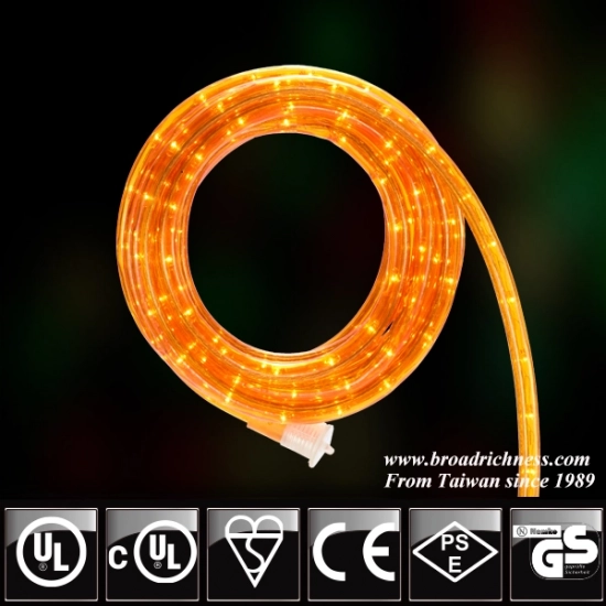 Spooky Elegance: The Glow of Orange Incandescent Rope Lights Spooky Elegance: The Glow of Orange Incandescent Rope Lights